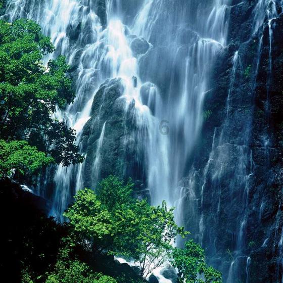 官宣!苏州春节期间76家景区免费+半价
